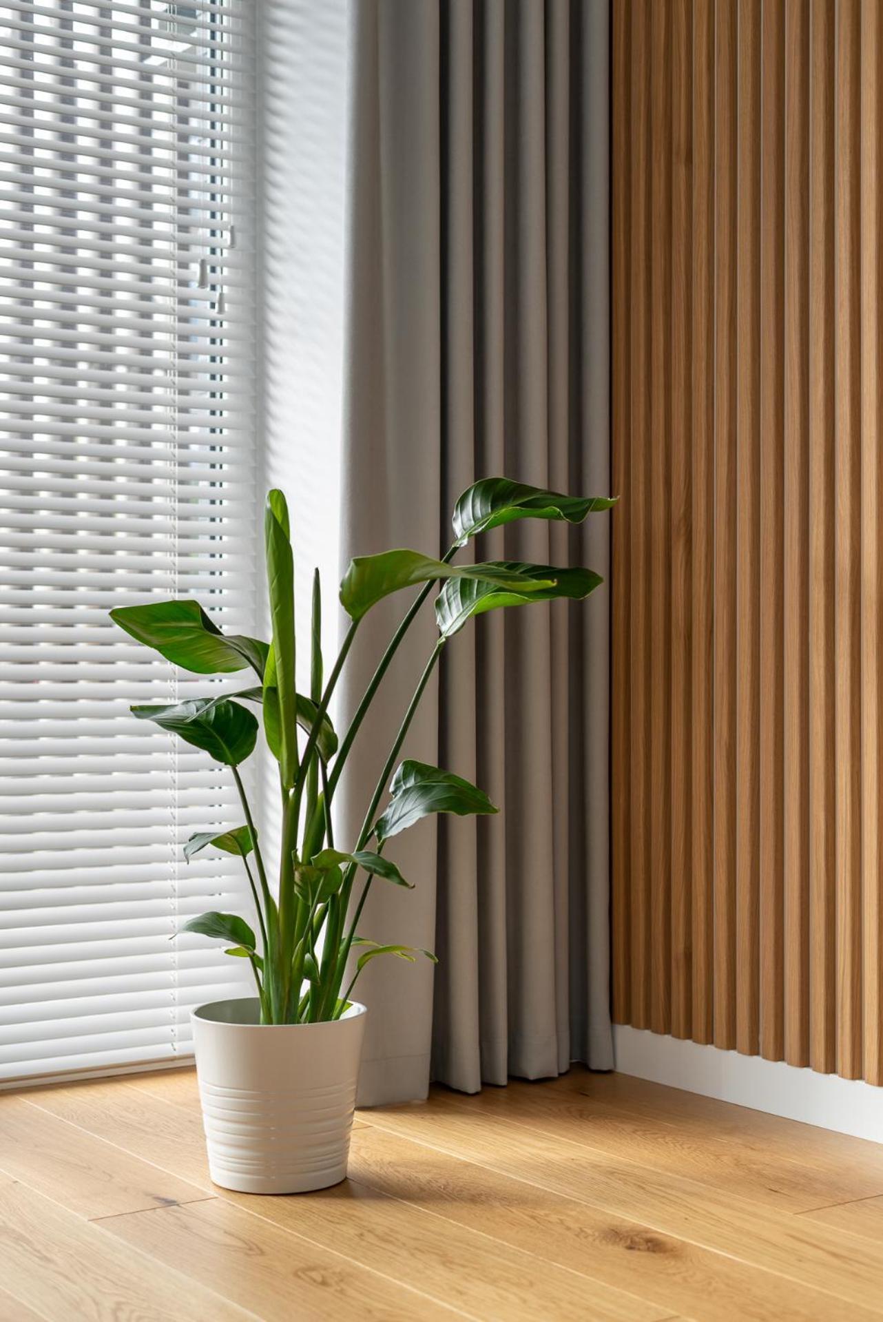 D33 Vilnius - Brand New Luxury Apartment With Terrace, Garden, Ac And Parking エクステリア 写真